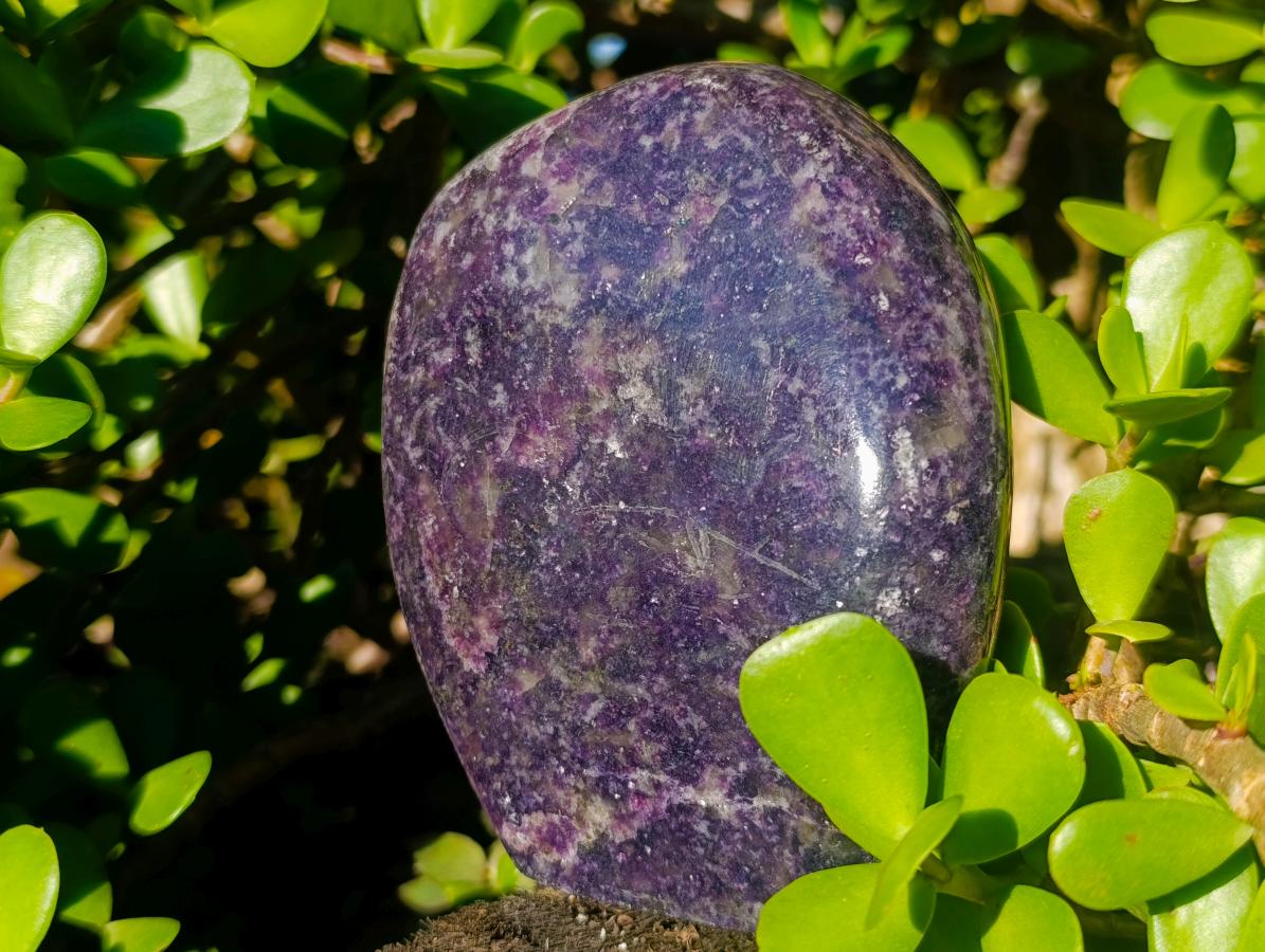 Polished Lepidolite Standing Display Pieces x 2 From Zimbabwe - Toprock Gemstones and Minerals 