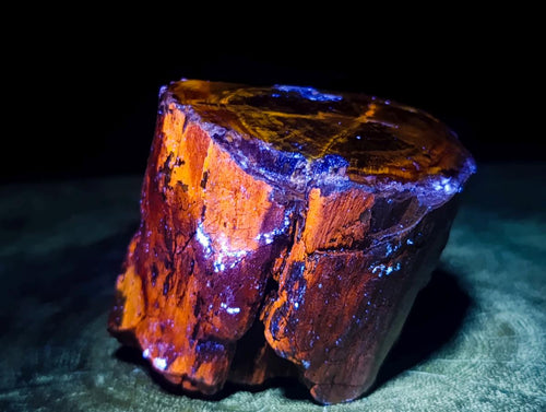 Polished On One Side Dadoxylon Petrified Wood Tree Branches x 6 From Gokwe, Zimbabwe - Toprock Gemstones and Minerals 