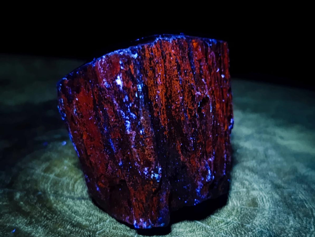 Polished On One Side Dadoxylon Petrified Wood Tree Branches x 6 From Gokwe, Zimbabwe - Toprock Gemstones and Minerals 