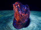 Polished On One Side Dadoxylon Petrified Wood Tree Branches x 6 From Gokwe, Zimbabwe - Toprock Gemstones and Minerals 