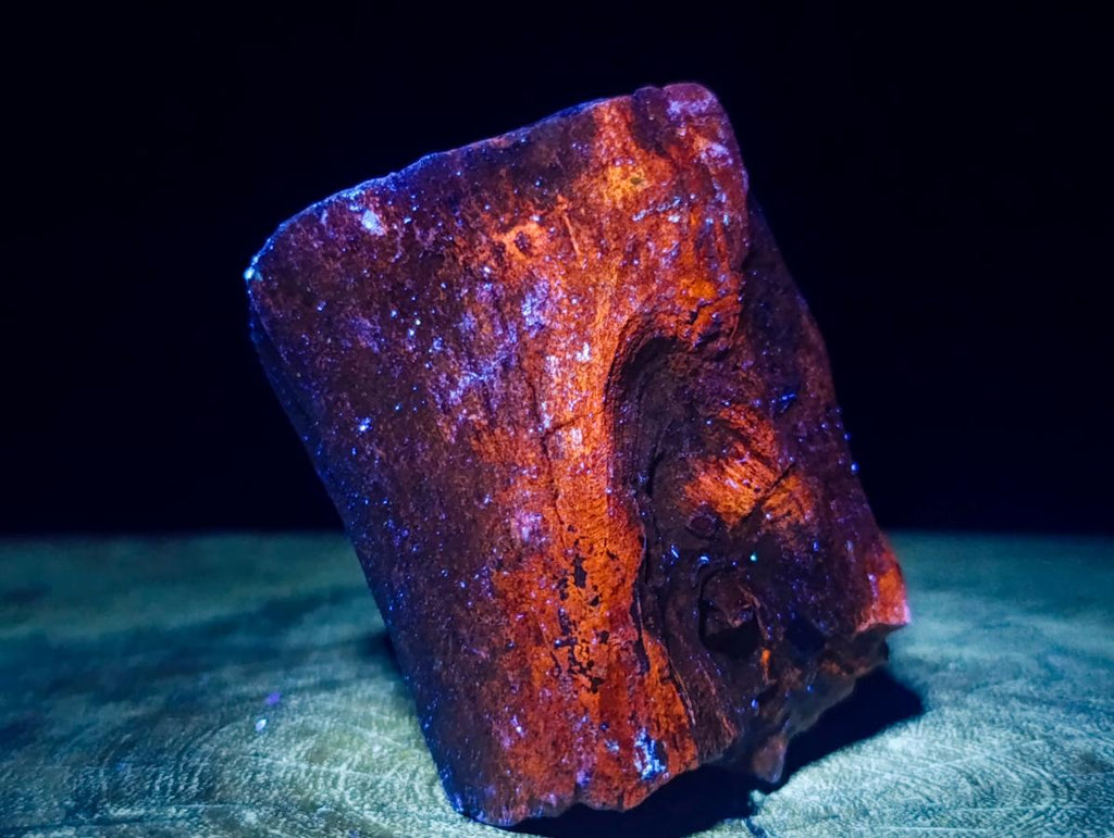 Polished On One Side Dadoxylon Petrified Wood Tree Branches x 6 From Gokwe, Zimbabwe - Toprock Gemstones and Minerals 