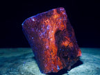 Polished On One Side Dadoxylon Petrified Wood Tree Branches x 6 From Gokwe, Zimbabwe - Toprock Gemstones and Minerals 