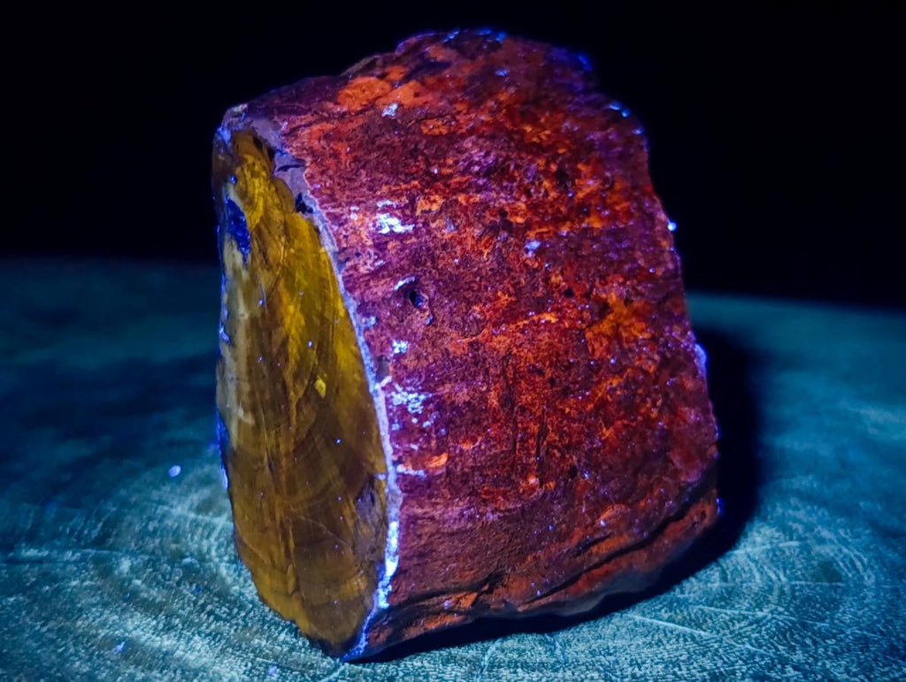 Polished On One Side Dadoxylon Petrified Wood Tree Branches x 6 From Gokwe, Zimbabwe - Toprock Gemstones and Minerals 