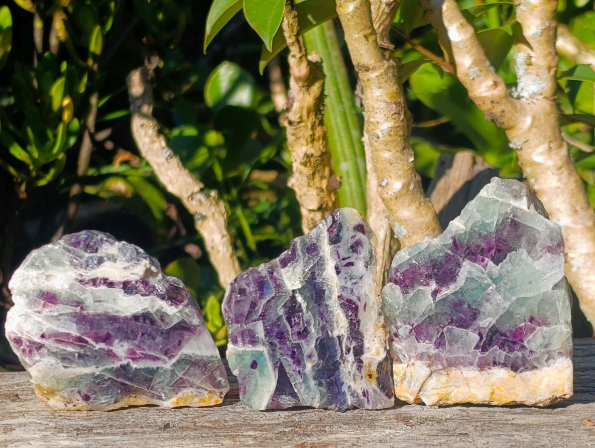 Polished One Side Watermelon Fluorite Slices x 12 From Uis, Namibia - Toprock Gemstones and Minerals 