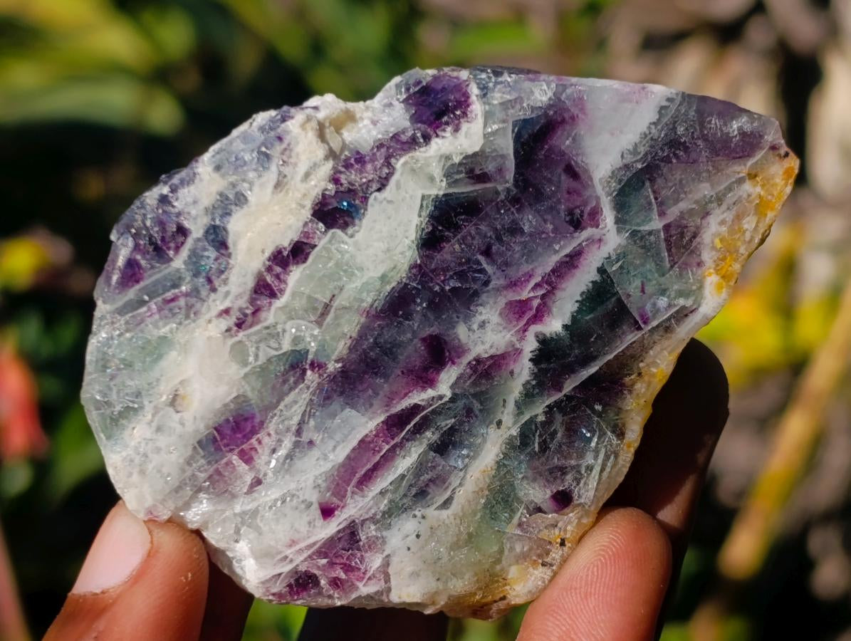 Polished One Side Watermelon Fluorite Slices x 12 From Uis, Namibia - Toprock Gemstones and Minerals 