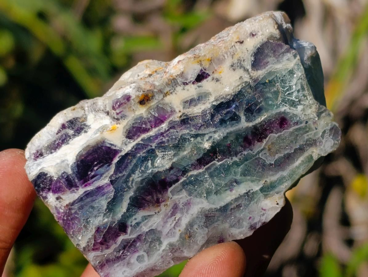 Polished One Side Watermelon Fluorite Slices x 12 From Uis, Namibia - Toprock Gemstones and Minerals 