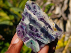 Polished One Side Watermelon Fluorite Slices x 12 From Uis, Namibia - Toprock Gemstones and Minerals 