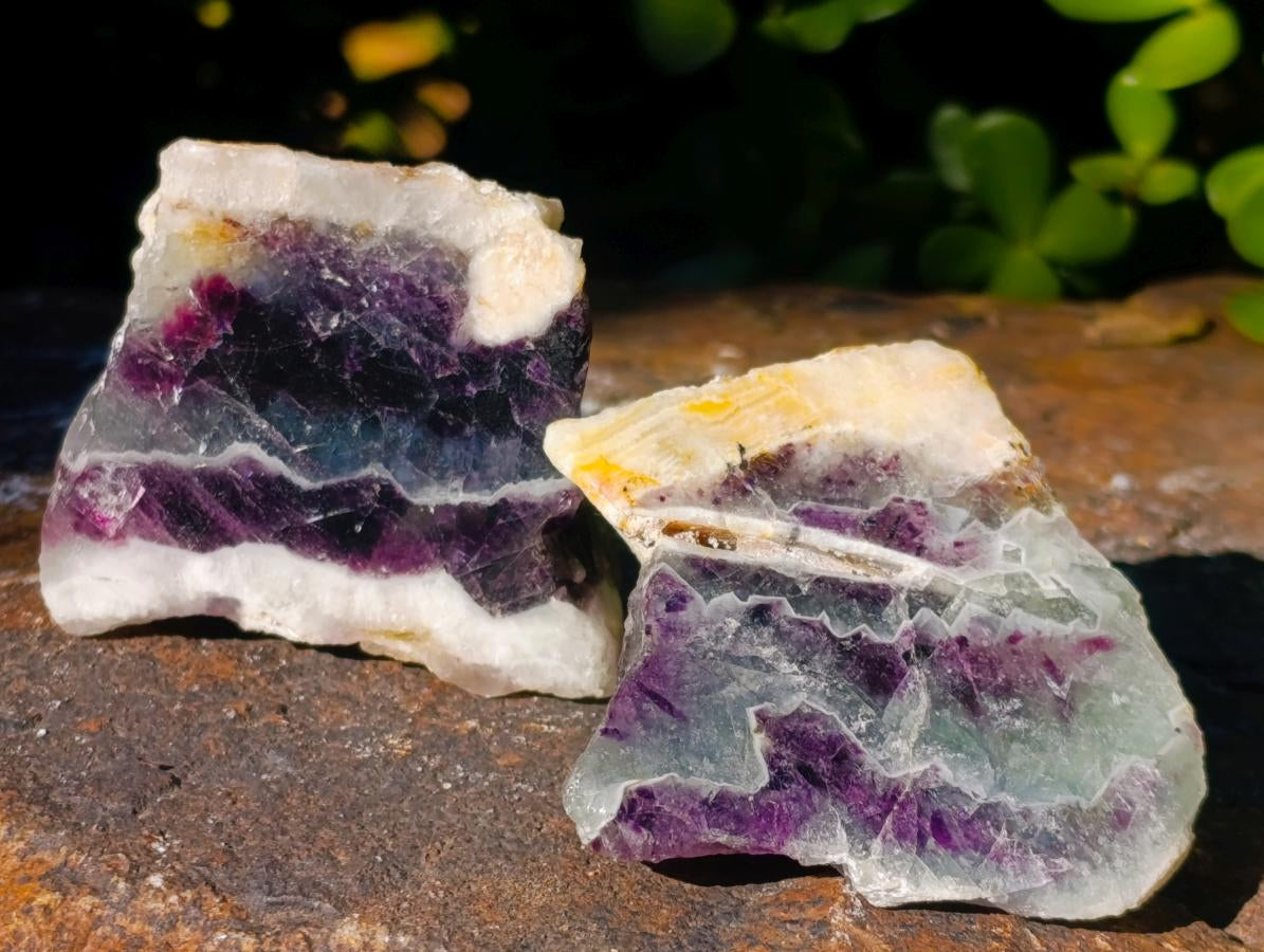 Polished One Side Watermelon Fluorite Slices x 12 From Uis, Namibia - Toprock Gemstones and Minerals 