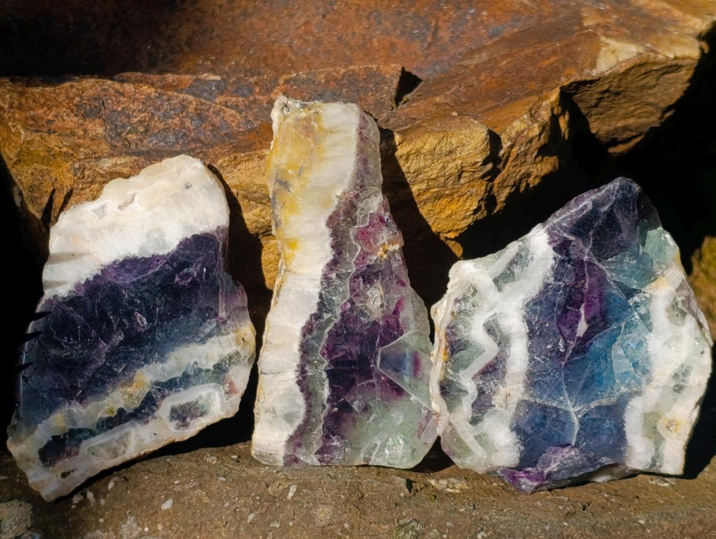 Polished One Side Watermelon Fluorite Slices x 12 From Uis, Namibia - Toprock Gemstones and Minerals 