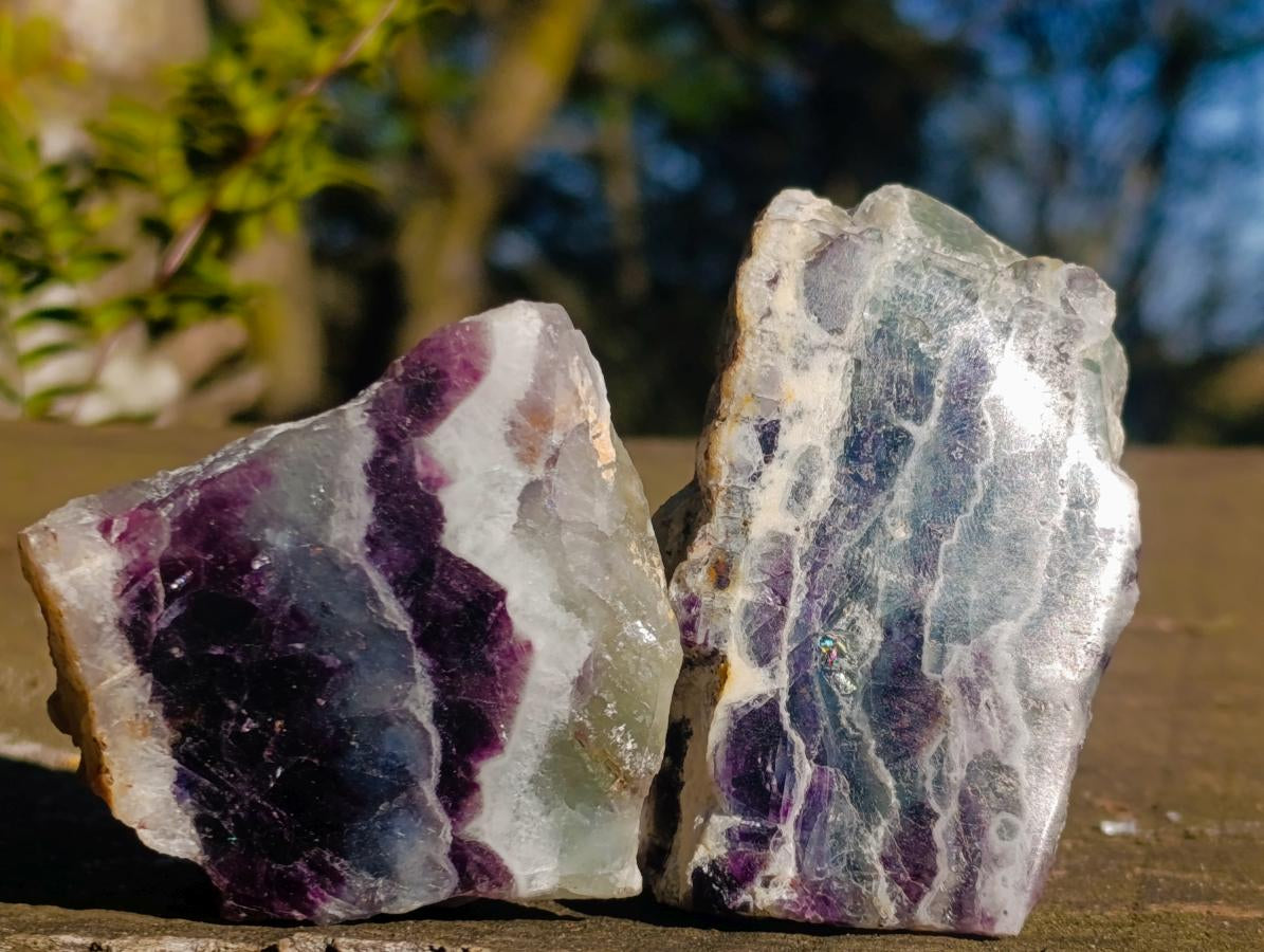 Polished One Side Watermelon Fluorite Slices x 12 From Uis, Namibia - Toprock Gemstones and Minerals 