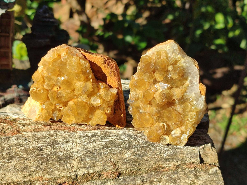 Natural Golden Limonite Quartz Clusters x 24 From Solwezi, Zambia - Toprock Gemstones and Minerals 