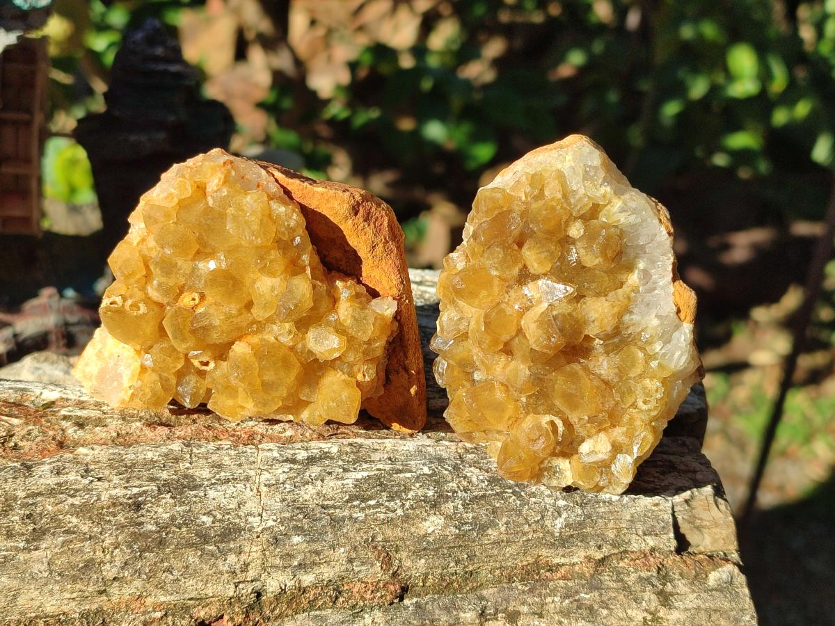 Natural Golden Limonite Quartz Clusters x 24 From Solwezi, Zambia - Toprock Gemstones and Minerals 