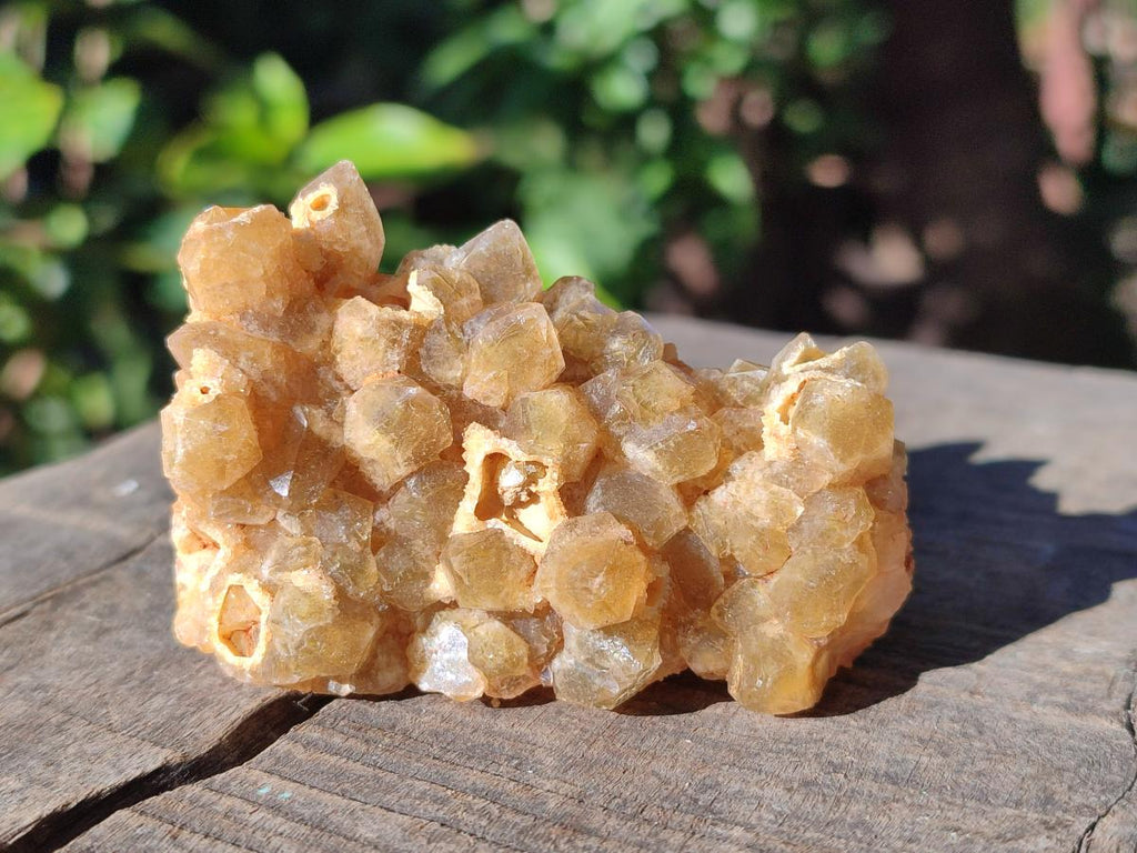 Natural Golden Limonite Quartz Clusters x 24 From Solwezi, Zambia - Toprock Gemstones and Minerals 