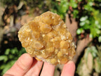 Natural Golden Limonite Quartz Clusters x 24 From Solwezi, Zambia - Toprock Gemstones and Minerals 
