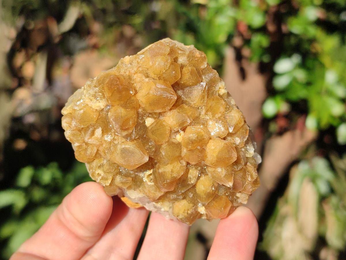 Natural Golden Limonite Quartz Clusters x 24 From Solwezi, Zambia - Toprock Gemstones and Minerals 