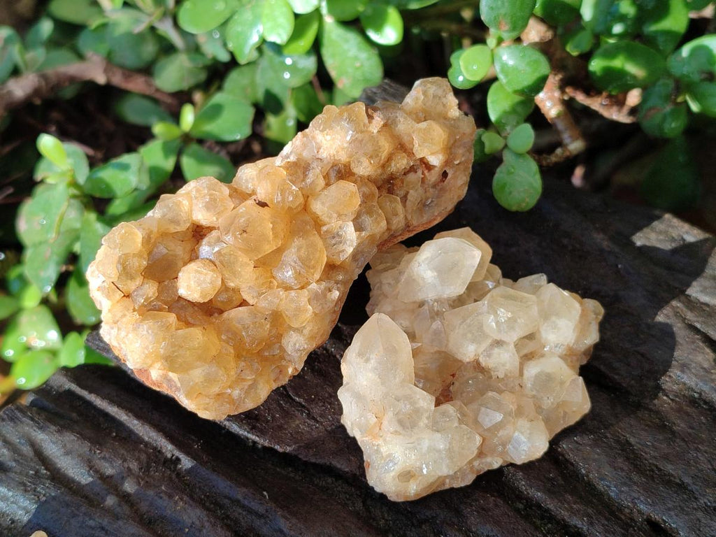 Natural Golden Limonite Quartz Clusters x 24 From Solwezi, Zambia - Toprock Gemstones and Minerals 