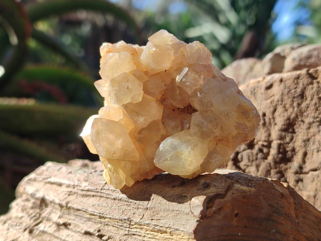Natural Golden Limonite Quartz Clusters x 24 From Solwezi, Zambia - Toprock Gemstones and Minerals 