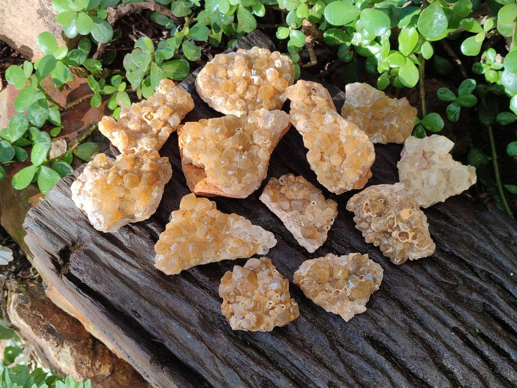 Natural Golden Limonite Quartz Clusters x 24 From Solwezi, Zambia - Toprock Gemstones and Minerals 