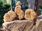 Natural Golden Limonite Quartz Clusters x 24 From Solwezi, Zambia - Toprock Gemstones and Minerals 
