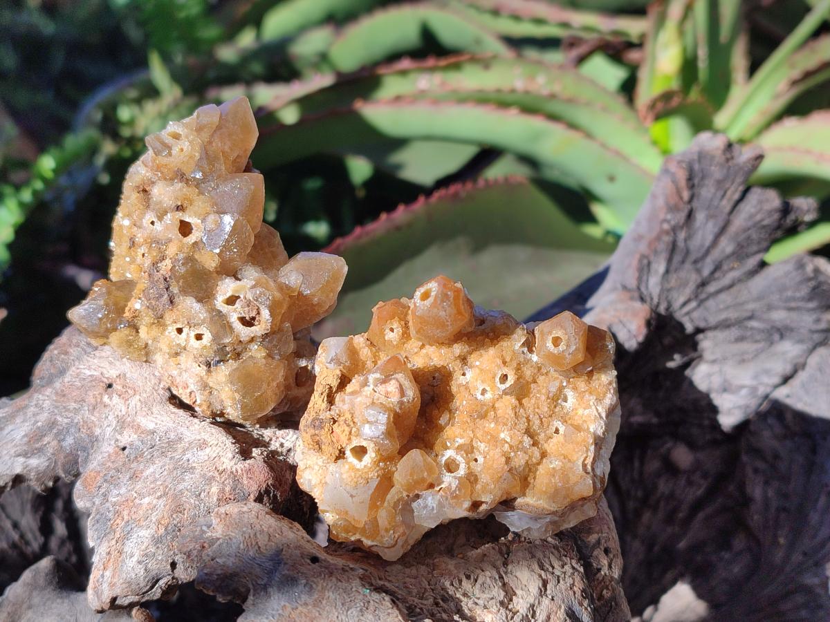 Natural Golden Limonite Quartz Clusters x 24 From Solwezi, Zambia - Toprock Gemstones and Minerals 