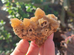 Natural Golden Limonite Quartz Clusters x 24 From Solwezi, Zambia - Toprock Gemstones and Minerals 