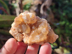 Natural Golden Limonite Quartz Clusters x 24 From Solwezi, Zambia - Toprock Gemstones and Minerals 