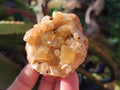 Natural Golden Limonite Quartz Clusters x 24 From Solwezi, Zambia - Toprock Gemstones and Minerals 