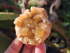 Natural Golden Limonite Quartz Clusters x 24 From Solwezi, Zambia - Toprock Gemstones and Minerals 