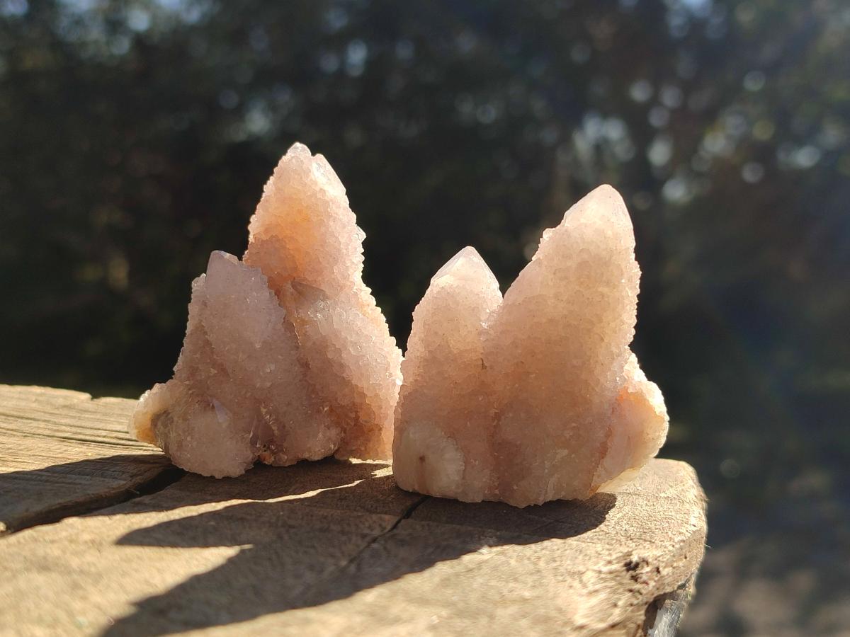 Natural Spirit Quartz Crystals x 35 From Boekenhouthoek, South Africa - Toprock Gemstones and Minerals 