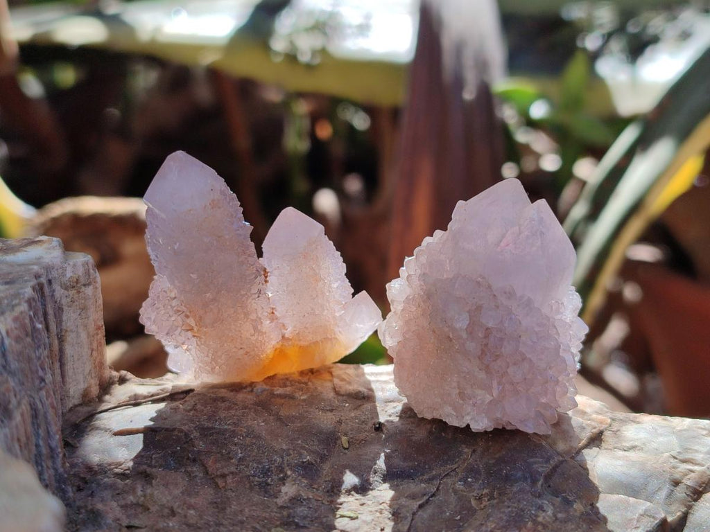 Natural Spirit Quartz Crystals x 35 From Boekenhouthoek, South Africa - Toprock Gemstones and Minerals 