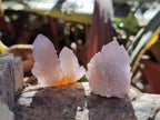 Natural Spirit Quartz Crystals x 35 From Boekenhouthoek, South Africa - Toprock Gemstones and Minerals 