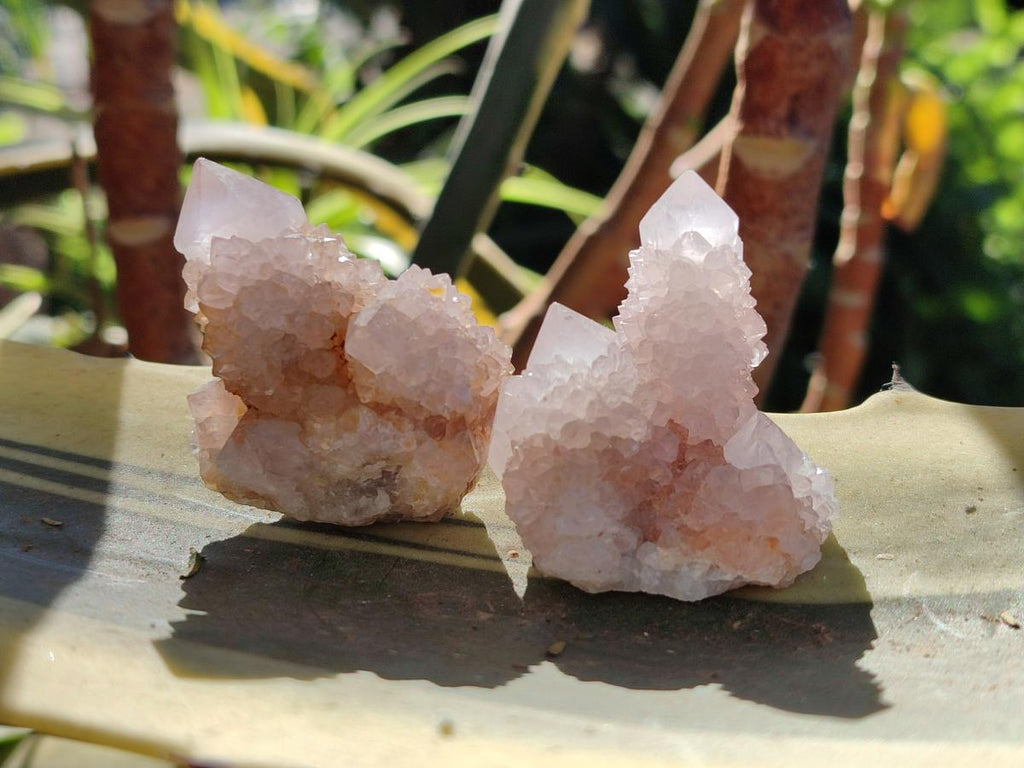 Natural Spirit Quartz Crystals x 35 From Boekenhouthoek, South Africa - Toprock Gemstones and Minerals 