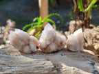 Natural Spirit Quartz Crystals x 35 From Boekenhouthoek, South Africa - Toprock Gemstones and Minerals 