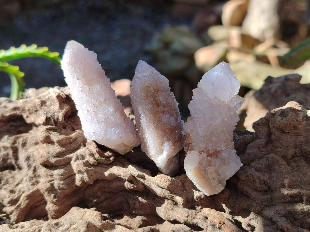 Natural Spirit Quartz Crystals x 35 From Boekenhouthoek, South Africa - Toprock Gemstones and Minerals 