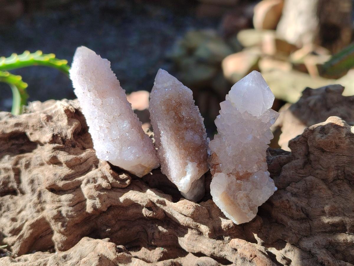 Natural Spirit Quartz Crystals x 35 From Boekenhouthoek, South Africa - Toprock Gemstones and Minerals 