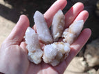 Natural Spirit Quartz Crystals x 35 From Boekenhouthoek, South Africa - Toprock Gemstones and Minerals 