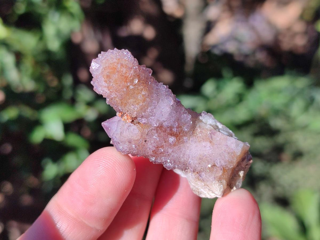 Natural Spirit Quartz Crystals x 35 From Boekenhouthoek, South Africa - Toprock Gemstones and Minerals 