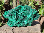 Natural Large Cabinet Silky Malachite Specimen x 1 From Kasompe, Congo - Toprock Gemstones and Minerals 