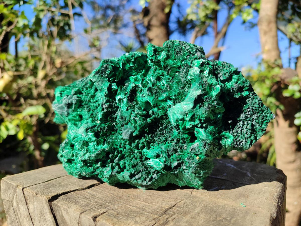 Natural Large Cabinet Silky Malachite Specimen x 1 From Kasompe, Congo - Toprock Gemstones and Minerals 