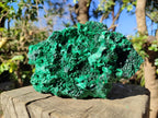Natural Large Cabinet Silky Malachite Specimen x 1 From Kasompe, Congo - Toprock Gemstones and Minerals 