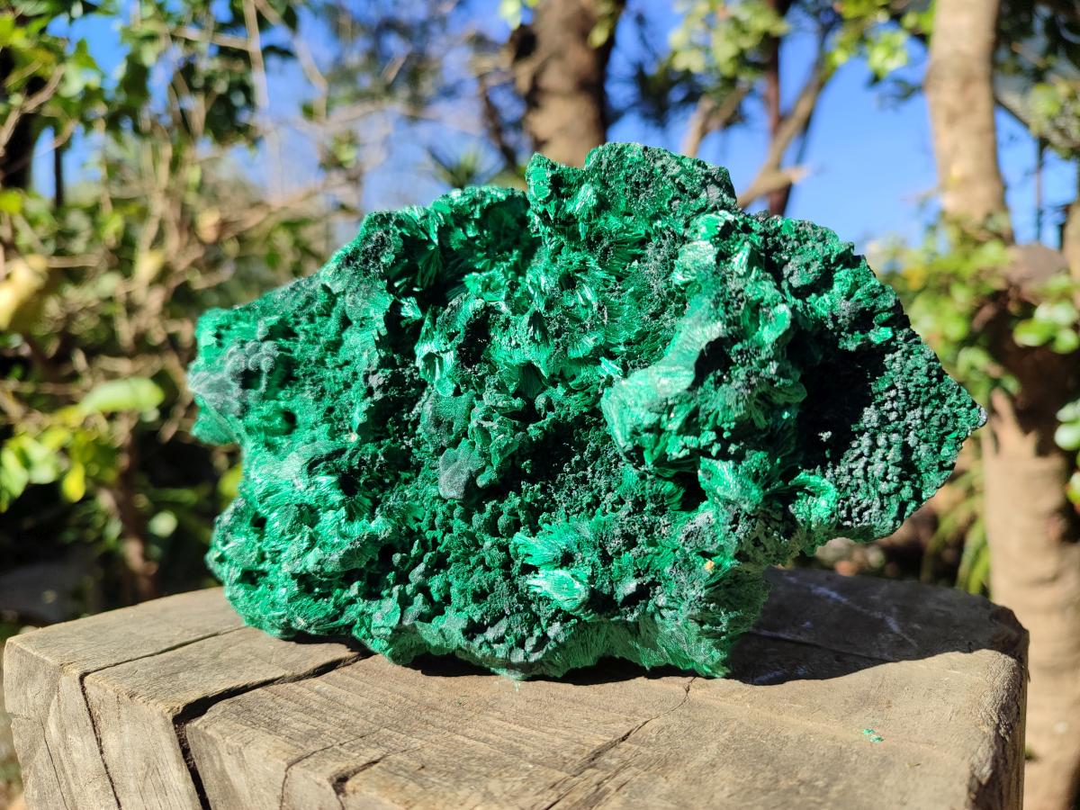 Natural Large Cabinet Silky Malachite Specimen x 1 From Kasompe, Congo - Toprock Gemstones and Minerals 