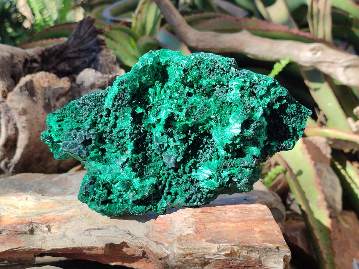 Natural Large Cabinet Silky Malachite Specimen x 1 From Kasompe, Congo - Toprock Gemstones and Minerals 
