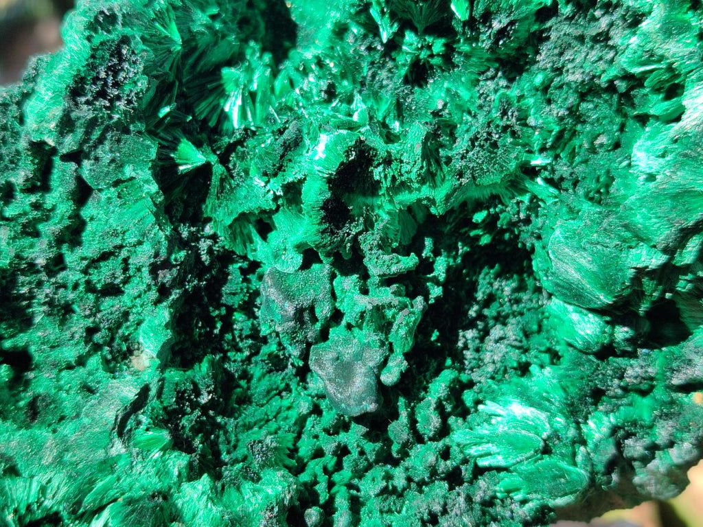 Natural Large Cabinet Silky Malachite Specimen x 1 From Kasompe, Congo - Toprock Gemstones and Minerals 