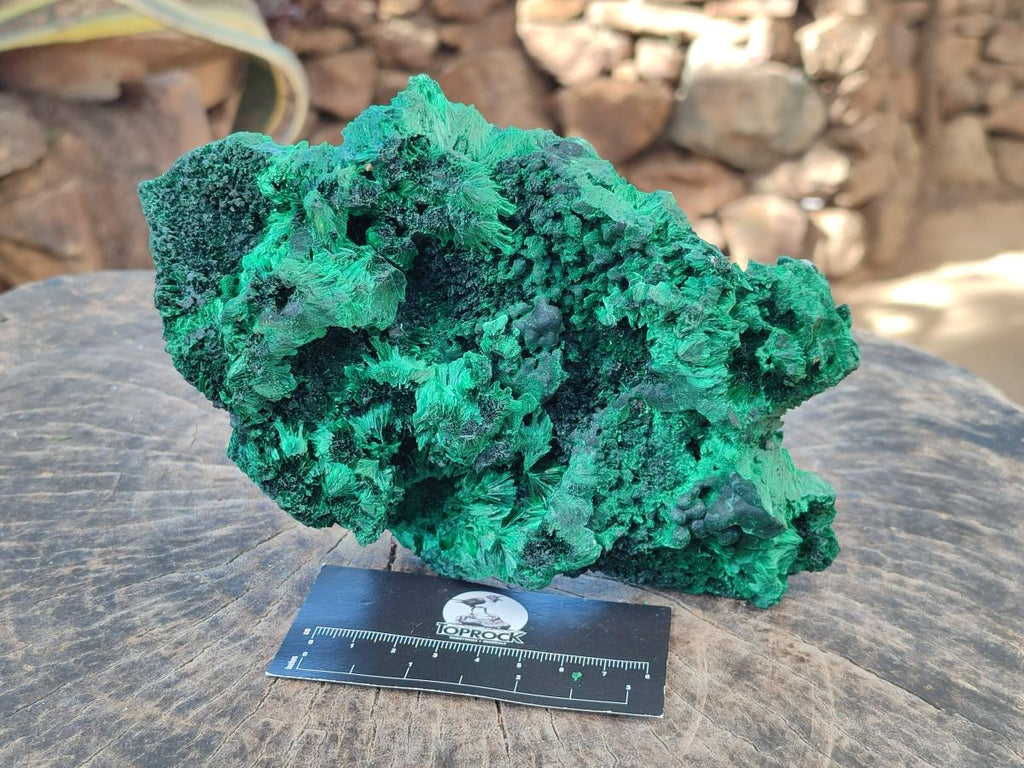 Natural Large Cabinet Silky Malachite Specimen x 1 From Kasompe, Congo - Toprock Gemstones and Minerals 