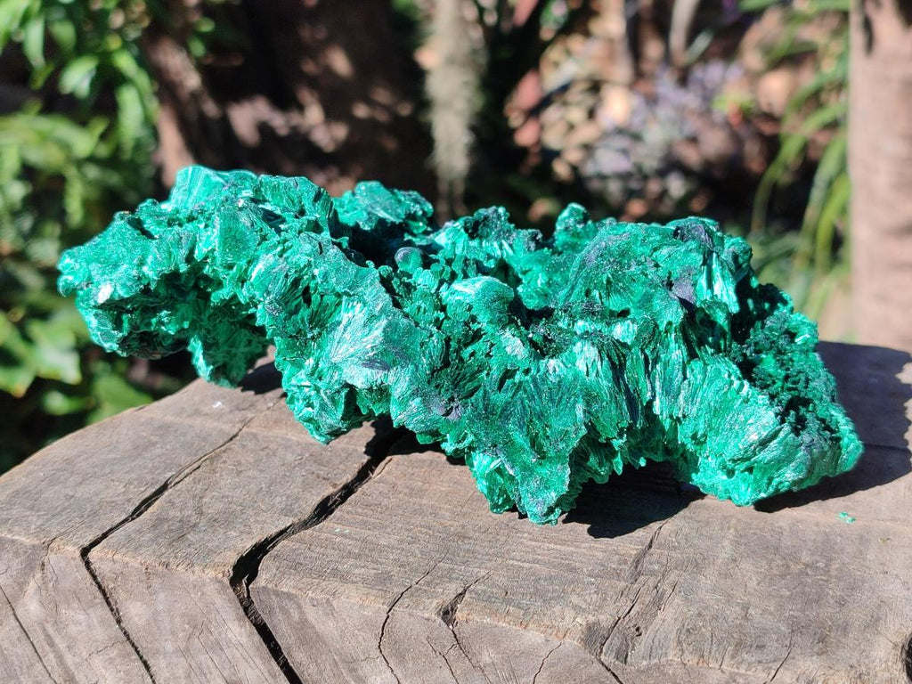 Natural Large Cabinet Silky Malachite Specimen x 1 From Kasompe, Congo - Toprock Gemstones and Minerals 