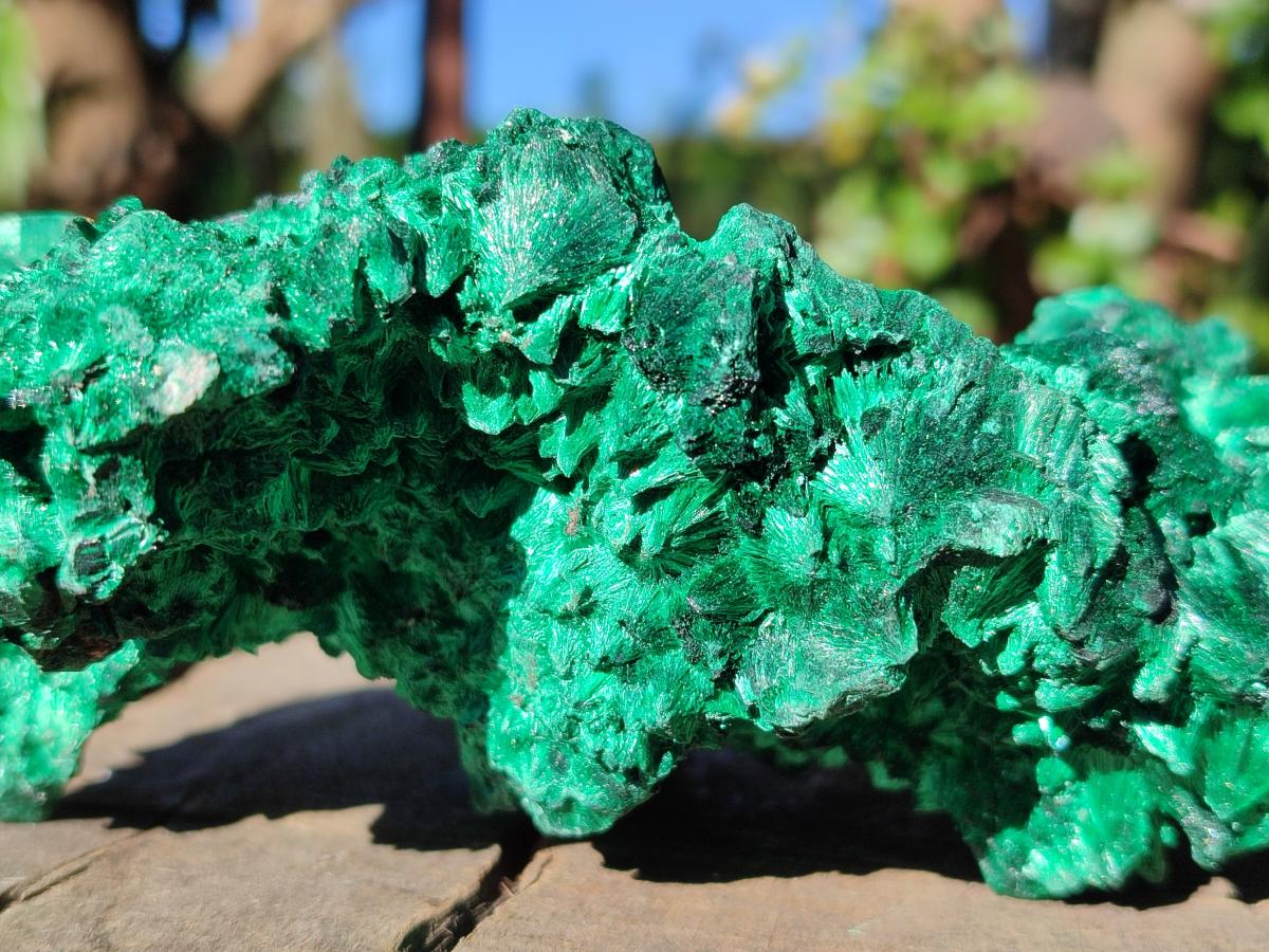 Natural Large Cabinet Silky Malachite Specimen x 1 From Kasompe, Congo - Toprock Gemstones and Minerals 