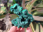 Natural Silky Malachite Specimens x 6 From Kasompe, Congo - Toprock Gemstones and Minerals 