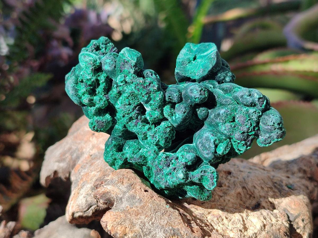 Natural Silky Malachite Specimens x 6 From Kasompe, Congo - Toprock Gemstones and Minerals 