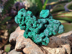 Natural Silky Malachite Specimens x 6 From Kasompe, Congo - Toprock Gemstones and Minerals 