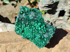 Natural Silky Malachite Specimens x 6 From Kasompe, Congo - Toprock Gemstones and Minerals 
